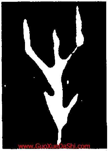 牛,第二期甲骨文,書法字典